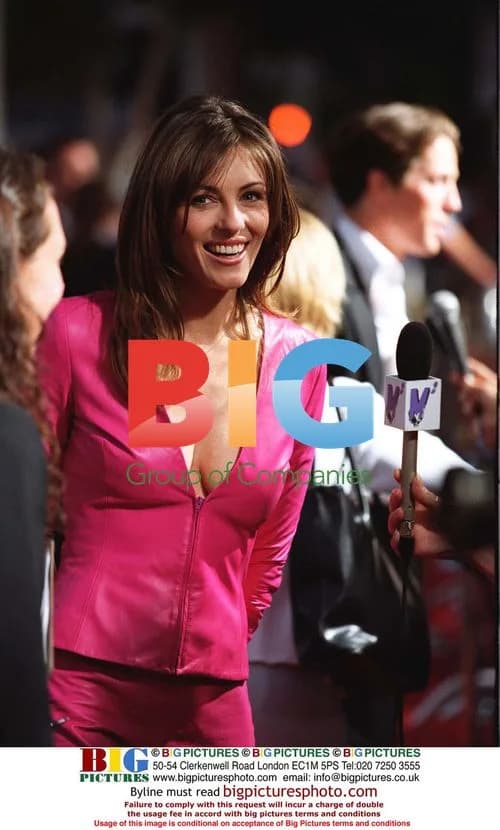 Liz Hurley at Mickey Blue Eyes Premiere