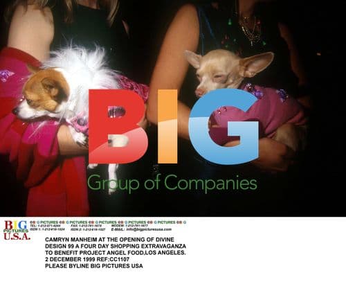 Designers Fifi and Romeo at Divine Design 99