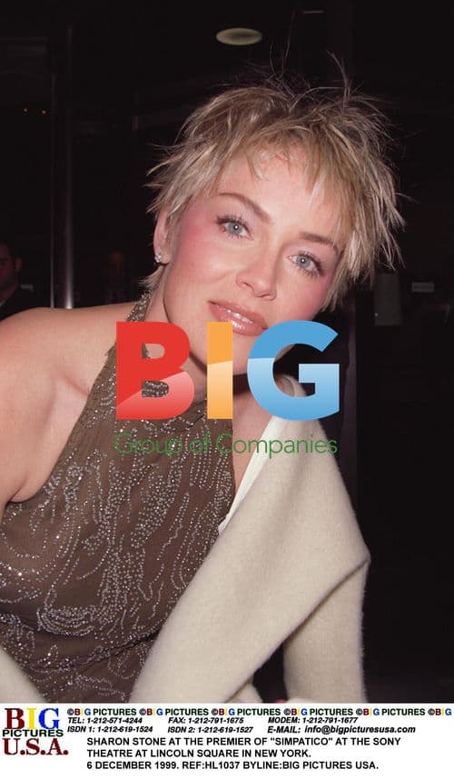 Sharon Stone at Simpatico Premiere in New York