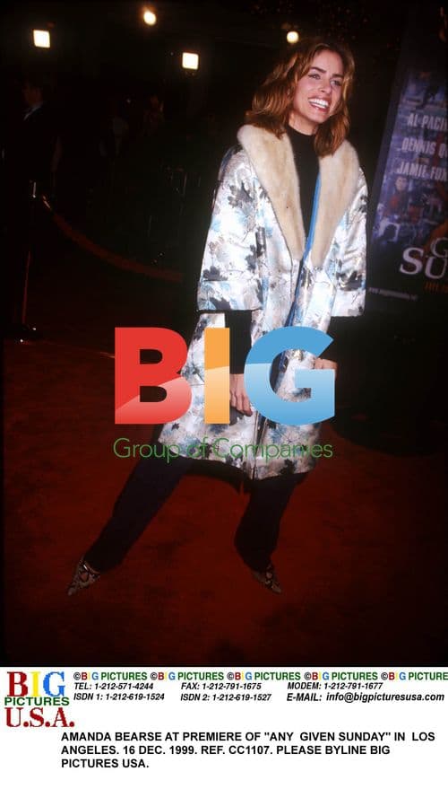 Amanda Bearse at "Any Given Sunday" Premiere
