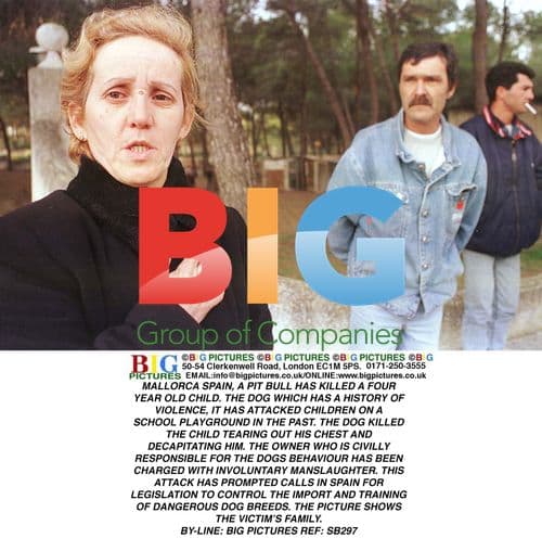 Tragic Dog Attack Kills Child