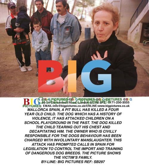 Deadly Dog Attack in Mallorca