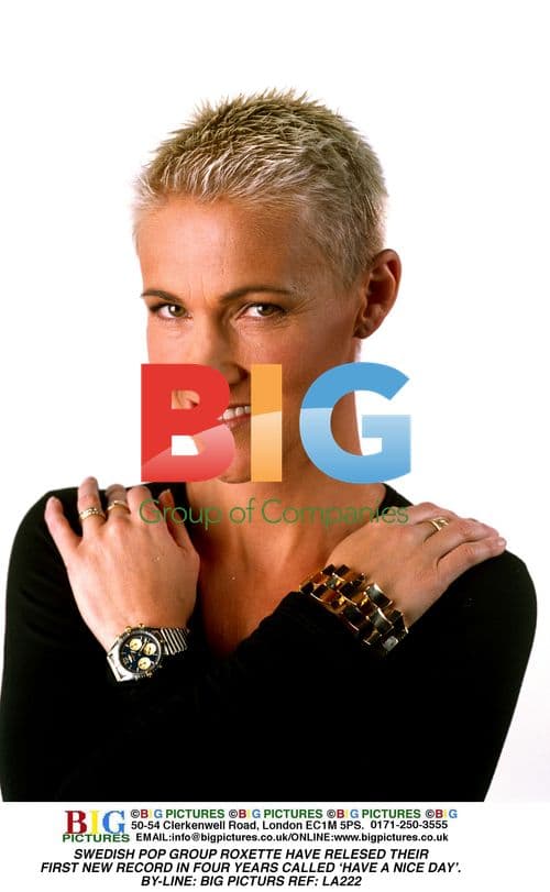 Roxette Release New Record 'Have a Nice Day'