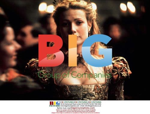 Gwyneth Paltrow Academy Award Nomination