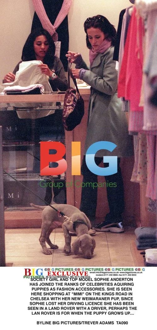 Sophie Anderton shops with puppy
