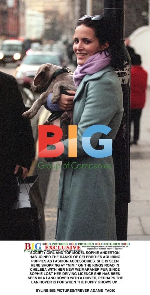 Sophie Anderton shopping with puppy