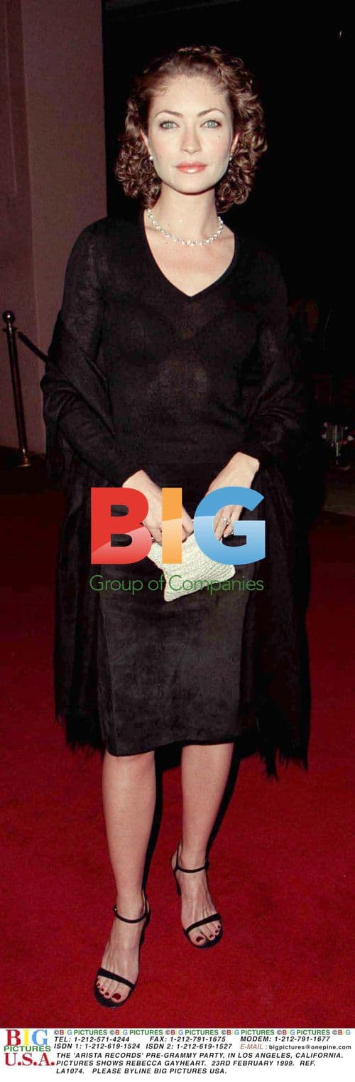 Rebecca Gayheart at Arista Records Pre-Grammy Party