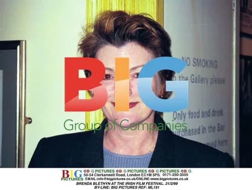 Brenda Blethyn at Irish Film Festival