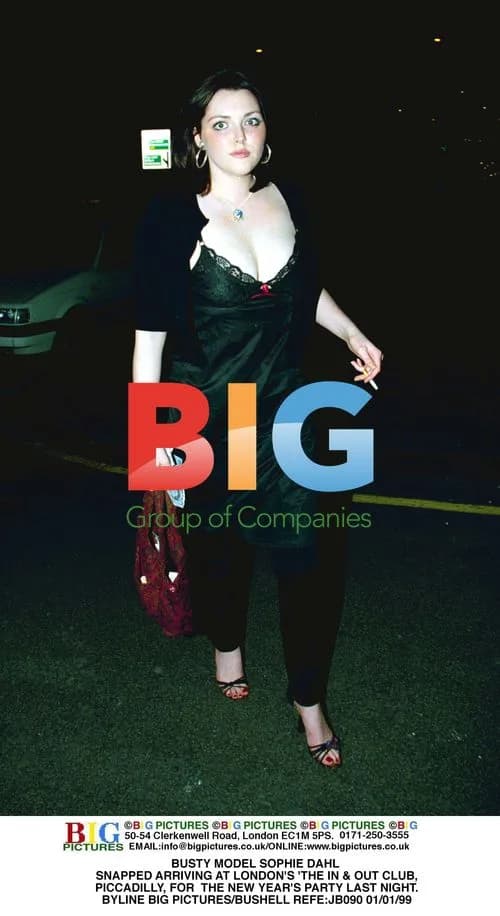 Model Sophie Dahl at New Year's Party