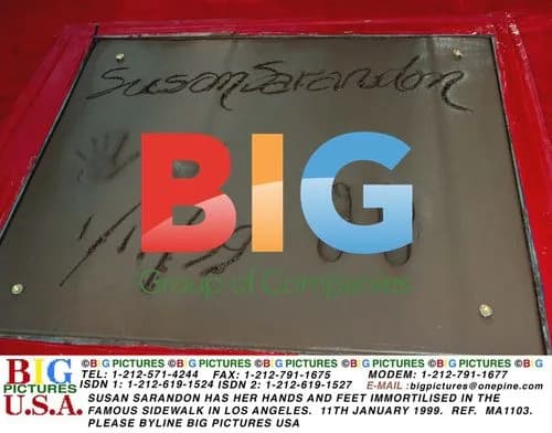 Susan Sarandon Handprint Ceremony