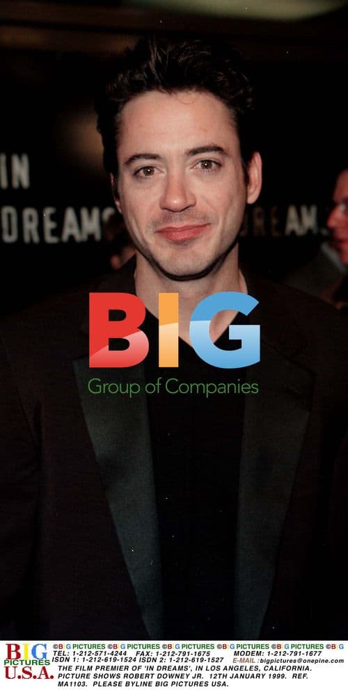 Robert Downey Jr. at 'In Dreams' Premiere