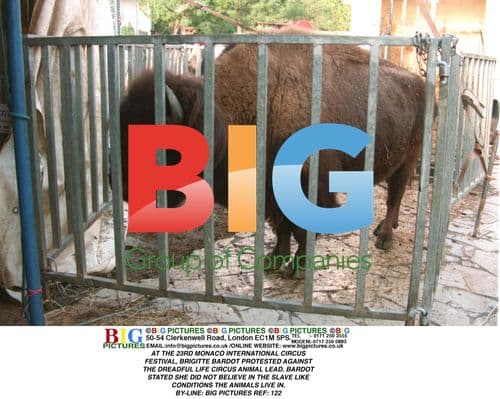 Bardot Protests Circus Animal Conditions at Monaco Festival