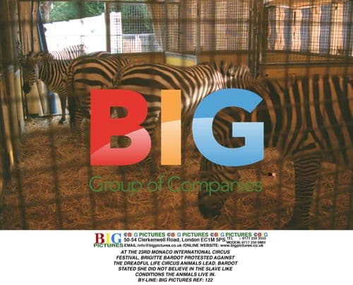 Brigitte Bardot Protests Circus Animal Conditions