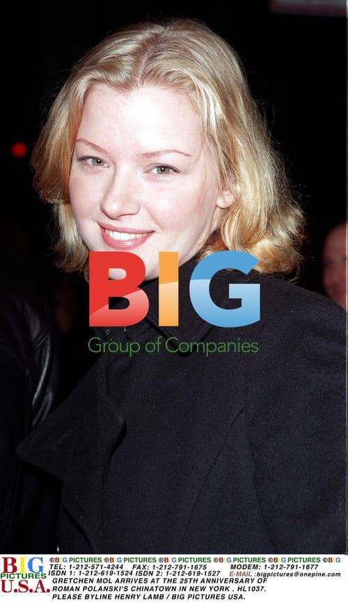 Gretchen Mol Arrives at 'Chinatown' Anniversary