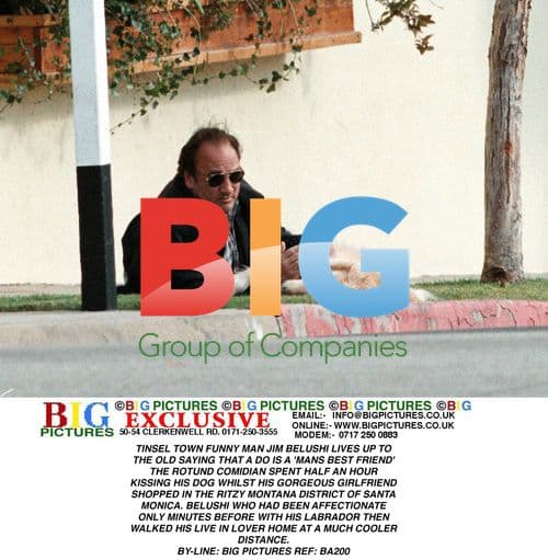 Jim Belushi Kisses Dog in Montana District