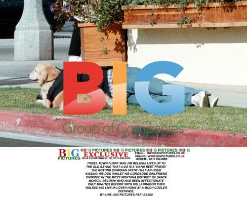 Jim Belushi Kisses Dog in Montana District