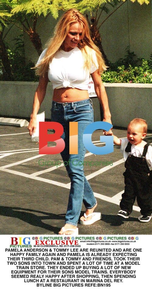 Pamela Anderson and Tommy Lee Reunited