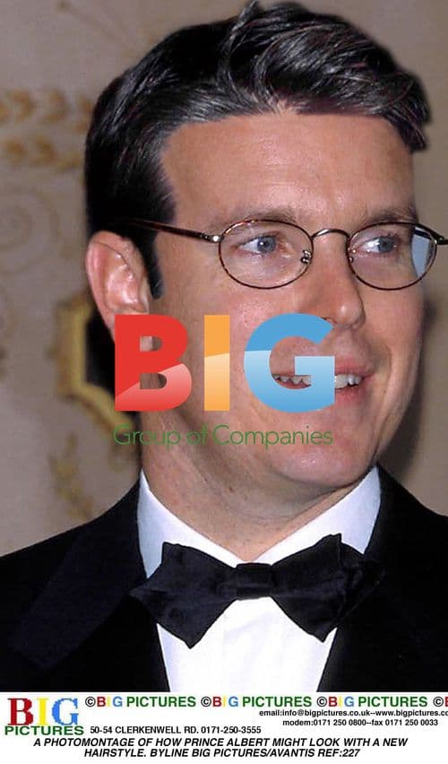 Prince Albert Photomontage Hairstyle