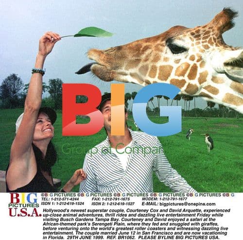 Courteney Cox and David Arquette at Busch Gardens