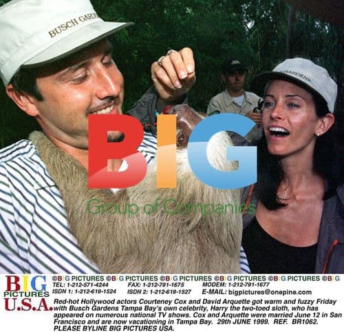 Courteney Cox and David Arquette with Sloth