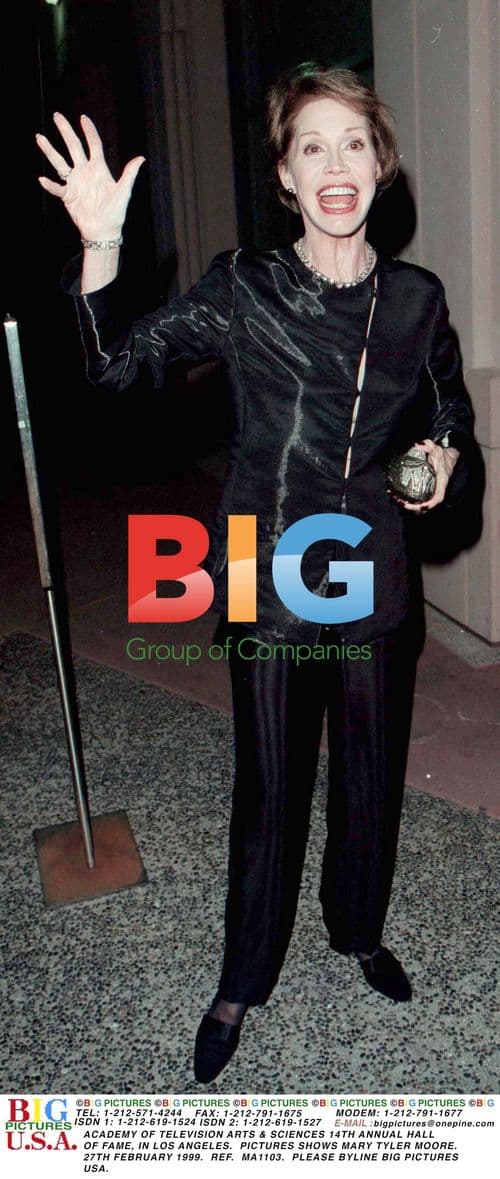 Mary Tyler Moore at TV Hall of Fame