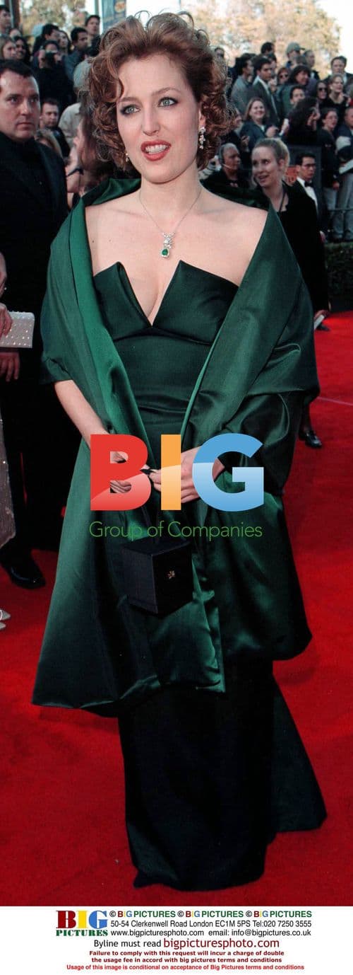 Gillian Anderson at Screen Actors Guild Awards