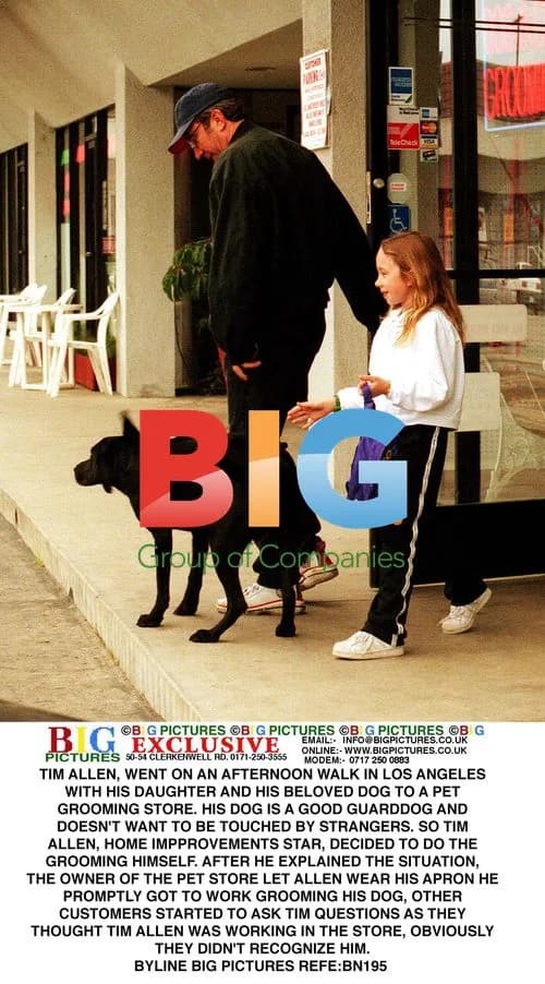 Tim Allen Grooms His Dog at Pet Store