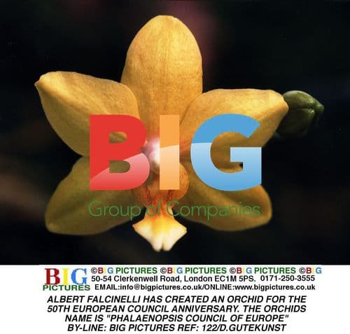 Albert Falcinelli Creates Orchid for European Council