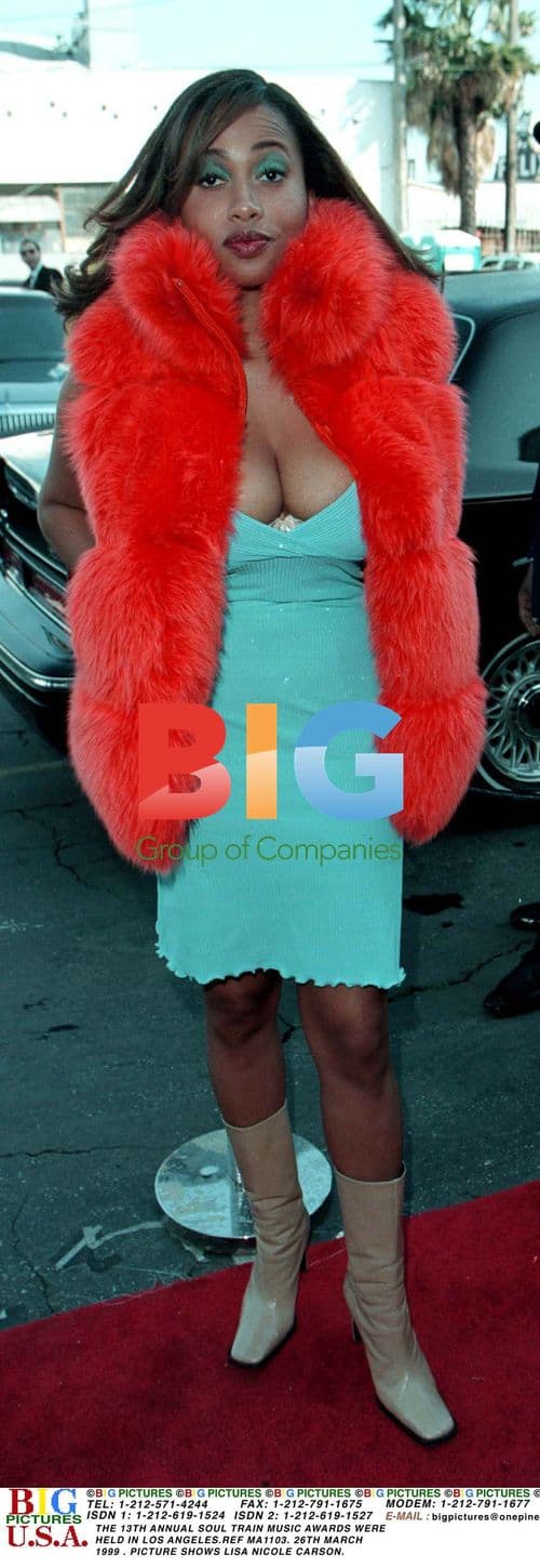 Lisa Nicole Carson at 13th Annual Soul Train Music Awards