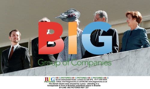 Danish Queen amused by pony at Brazil parade