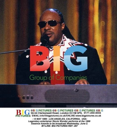 Stevie Wonder performs at Essence Awards