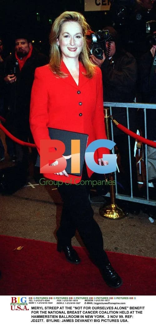 Meryl Streep at Benefit for Breast Cancer