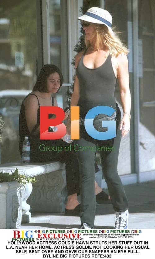 Goldie Hawn Caught Off Guard in LA