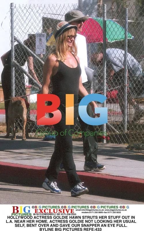 Goldie Hawn Spotted in L.A.