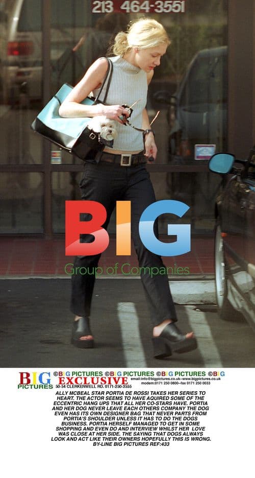 Portia de Rossi and Her Eccentric Dog Companion