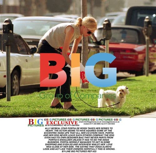 Portia de Rossi and Her Dog