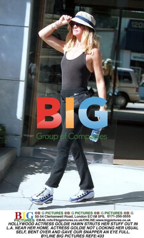 Goldie Hawn Spotted in L.A.