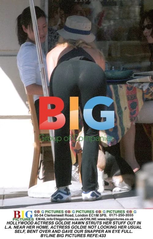 Goldie Hawn Seen Out in LA