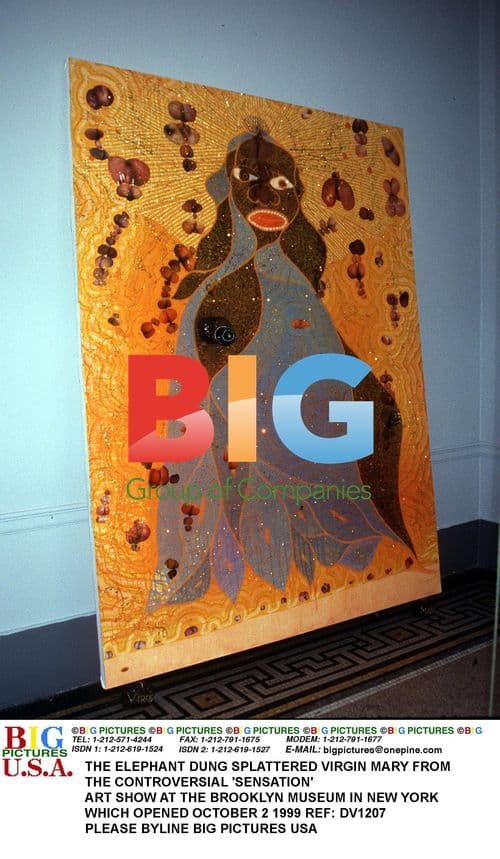 Elephant Dung Virgin Mary Art