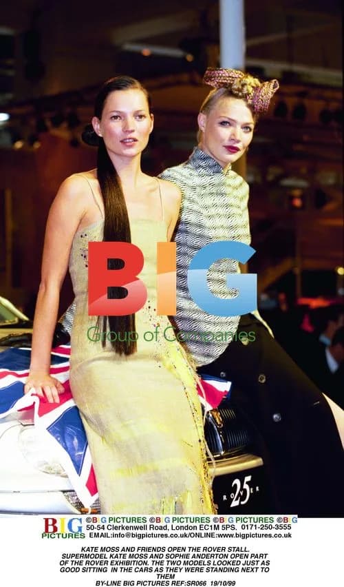 Kate Moss and friends open Rover stall
