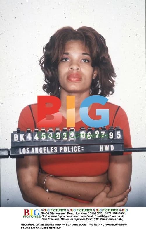 Mugshot of Divine Brown with Hugh Grant