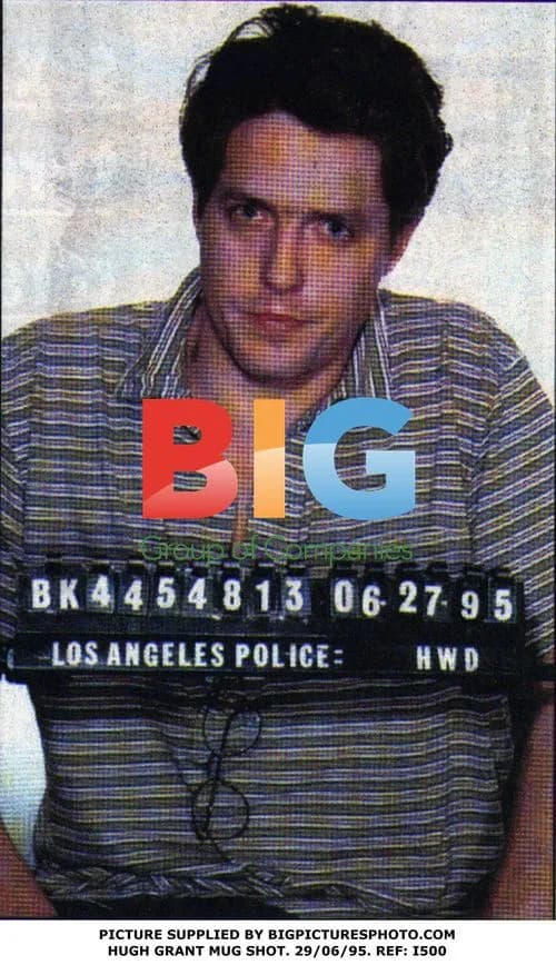Hugh Grant Mug Shot