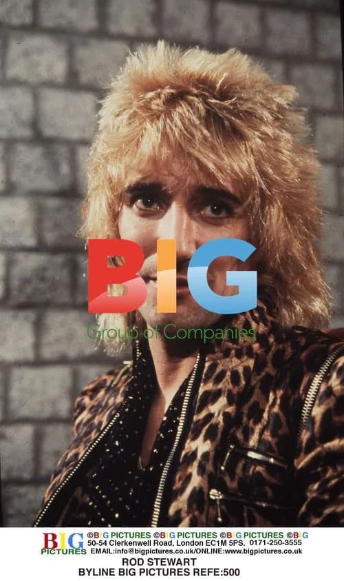Rod Stewart Portrait