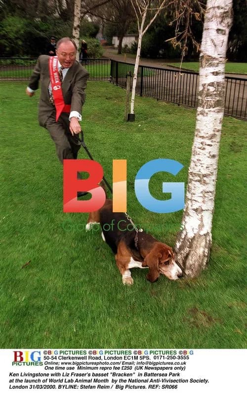 Ken Livingstone with Liz Fraser"s basset "Bracken"