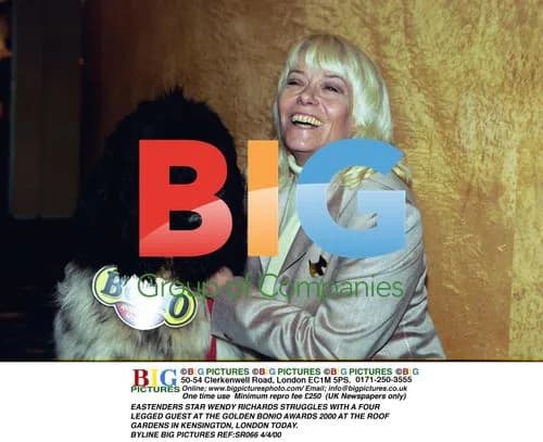 EASTENDERS STAR WENDY RICHARDS STRUGGLES WITH DOG