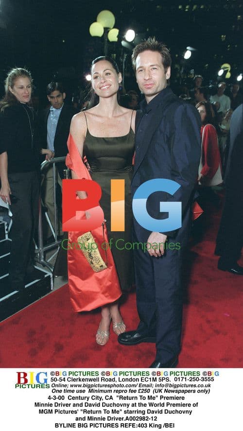 Minnie Driver and David Duchovny at "Return To Me" Premiere