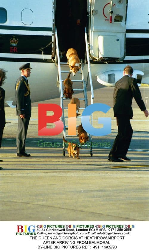 The Queen and Corgis at Heathrow Airport