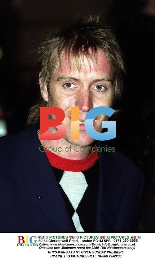 Rhys Ifans at Any Given Sunday Premiere