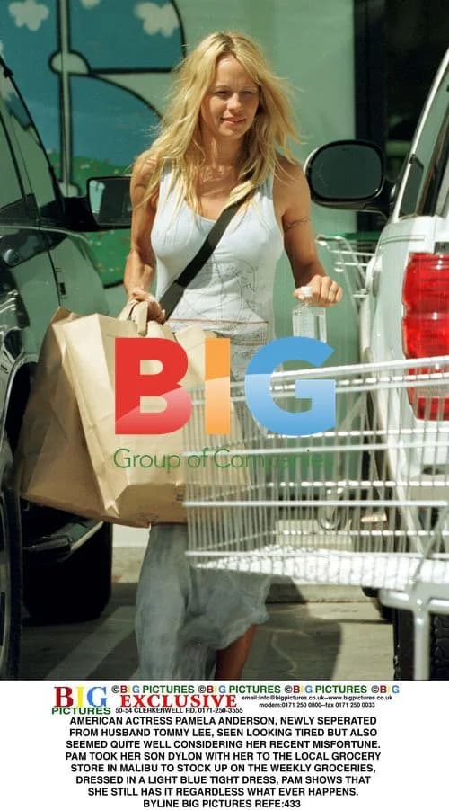 Pamela Anderson seen shopping in Malibu