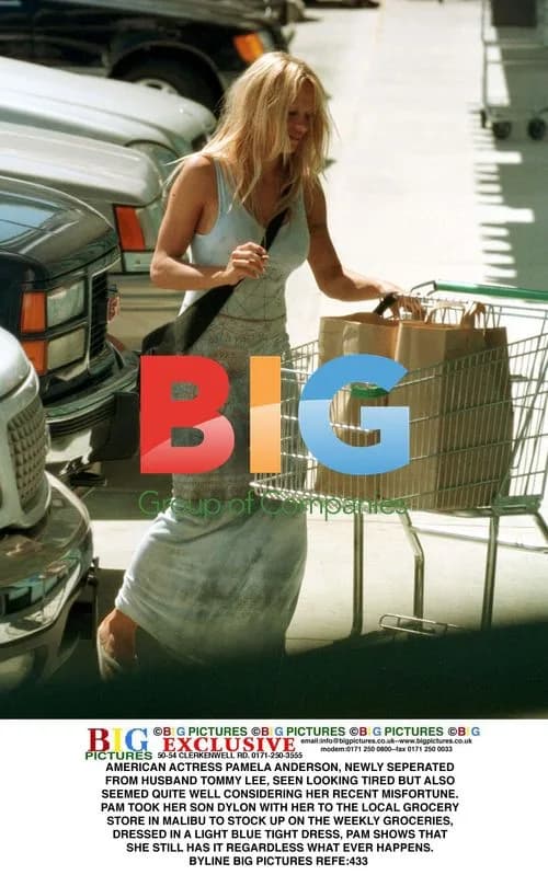 Pamela Anderson Grocery Shopping with Son